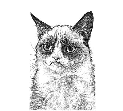 Hedcut illustrations of grumpy cat by visual artist Noli Novak for Wall Street Journal A-Hed.